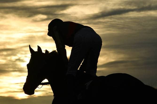 Tragisches Unglück um Reitsportler