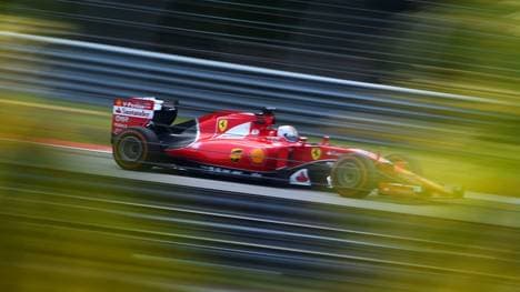 Ein Ferrari fährt im Walde