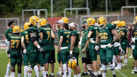 Bei den Cologne Crocodiles herrscht derzeit mächtig Zoff im Verein