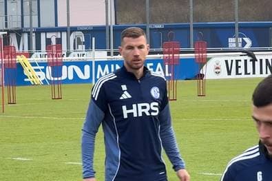 Die ersten Bilder! Der Dzeko-Wahnsinn auf Schalke
