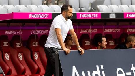 Hasan Salihamidzic spricht über Leon Goretzka, Joshua Kimmich und Robert Lewandowski
