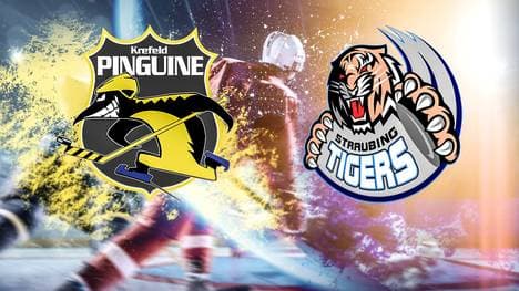 Die Krefeld Pinguine empfangen am Sonntag Straubing