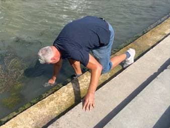 Seit Tagen bereitet die Seine in Paris den Olympia-Organisatoren Sorgen. Kurz vor dem ersten Triathlon-Rennen steht fest: Der Wettkampf muss verschoben werden. Doch wie lange?