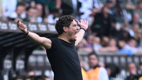 Terzic während des Ligaspiels bei Borussia Mönchengladbach