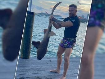 Conor McGregor sorgt mal wieder für Aufsehen - dieses Mal mit einem Hai. Der UFC-Star will angeblich auf den Schutz des Ozeans Aufmerksam machen.