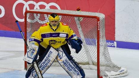 Neue Hoffnung für die Krefeld Pinguine