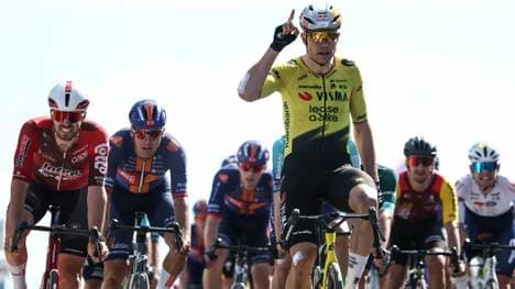 Sieg im Vogelpark: Wout Van Aert 