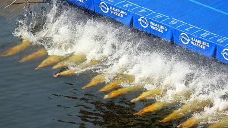 Zwölf deutsche Athleten stehen im Finale