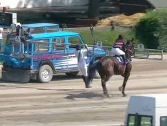 Ein Foto geht derzeit um die ganze Welt des Trabrennsports. Die junge Amateurfahrerin Anna-Lisa Kunze wird schlagartig berühmt für einen kuriosen Fail.