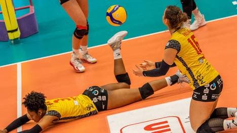 Am Samstag gibts jede Menge Volleyball-Action auf SPORT1