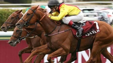 Torquator Tasso ist erneut Galopper des Jahres 