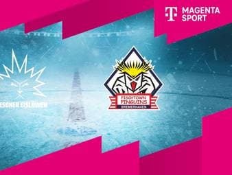 Dresdner Eislöwen - Pinguins Bremerhaven: Tore und Highlights | PENNY DEL