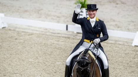 Im Besitz von Winter-Schulze: Werths Stute Weihegold