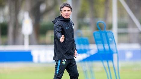 Labbadia rechnet mit Rotation - Löwen fehlt der Hertha