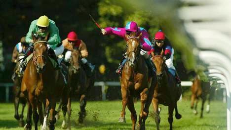 Der Galoppklub Frankfurt kämpft um seine Bahn und gegen den DFB 