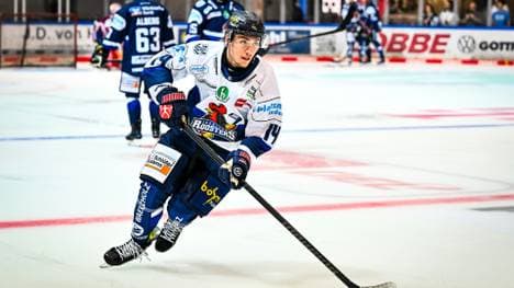 Eisbären-Neuzugang Noel Saffran