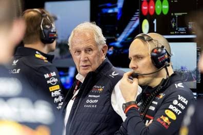 Red-Bull-Berater sagt nach "Hirnlos"-Attacke sorry