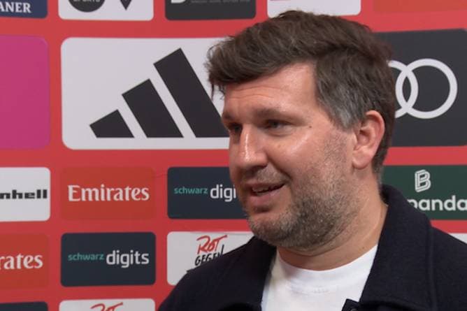 Hoffenheim-Boss stellt Schiedsrichter zur Rede