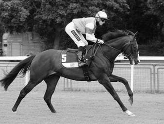 Deutscher Pferde-Rennsport in Trauer