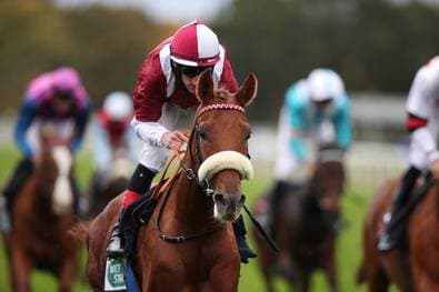 Strahlender „Mondaufgang“: Wonderful Moon zurück auf der Siegerstraße