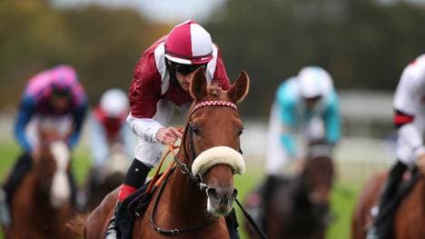 Wonderful Moon ritt in Hannover zurück auf die Siegerstraße