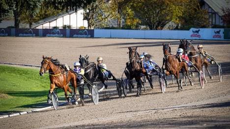 Bei einem Rennen auf der Trabrennbahn Mariendorf kam es zu dem Vorfall
