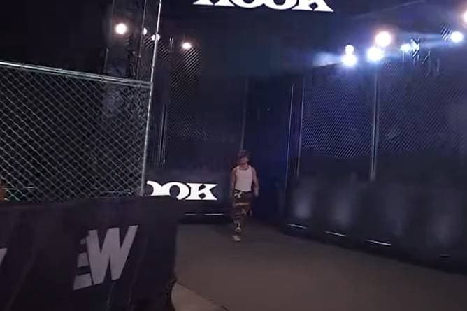 Umjubeltes Comeback bei AEW - weitere nahen