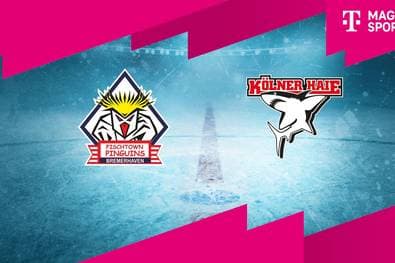 Pinguins Bremerhaven - Kölner Haie (Highlights)