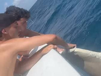 Joao Felix postet auf Instagram Fotos und Videos von einem Angelausflug mit seinen Kumpels. Unter dem Beitrag laufen dann allerdings zahlreiche User Sturm - aus gutem Grund.