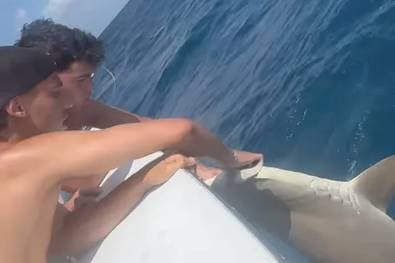 "Tierquälerei!" Fußball-Topstar kassiert üblen Shitstorm