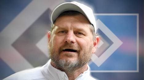 Neuer Trainer beim Hamburger SV: Steffen Baumgart