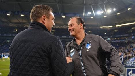 FC Schalke 04 v 1899 Hoffenheim - Bundesliga