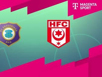 FC Erzgebirge Aue - Hallescher FC: Tore und Highlights | 3. Liga
