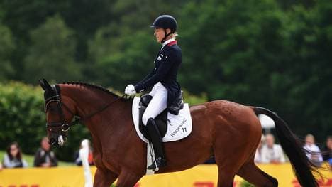 CCI**** / CIC*** Messmer Trophy Luhmuhlen - Day 2