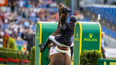 Bei einem Reitturnier in England kamen drei Pferde ums Leben
