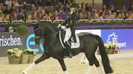 Total Hope ist ein Nachkomme der Spitzenpferde Totilas und Weihegold