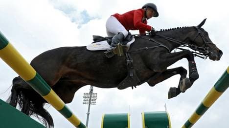 Die Pferdebeine sollen zukünftig mehr geschützt werden
