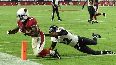 Baltimore Ravens v Arizona Cardinals