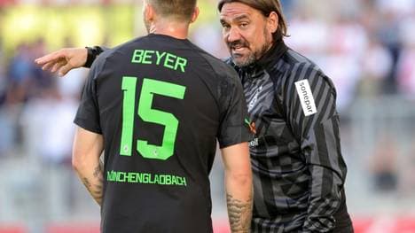 Daniel Farke befürwortet "brutale" Ehrlichkeit