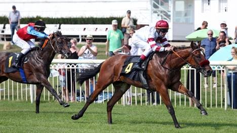 Der von Andreas Starke gerittene Juanito befindet sich im Besitz von Timo Horn