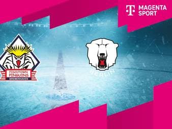 Pinguins Bremerhaven - Eisbären Berlin: Tore und Highlights | PENNY DEL