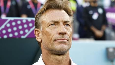 Herve Renard war schonmal saudischer Nationaltrainer