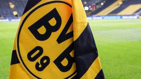 Der BVB sieht sich mit neuen Vorwürfen gegen einen Ex-Mitarbeiter konfrontiert
