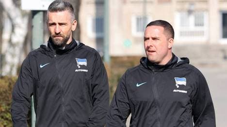 Mark Fotheringham (r.) muss passen, Vedad Ibisevic übernimmt