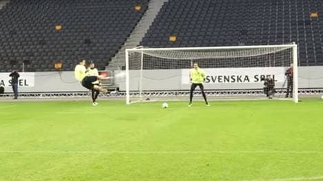 Zlatan Ibrahimovic schloss seine Aktion mit einem feinen Seitfallzieher ab