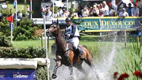 Ein tödlicher Unfall schockt die Reit-Szene