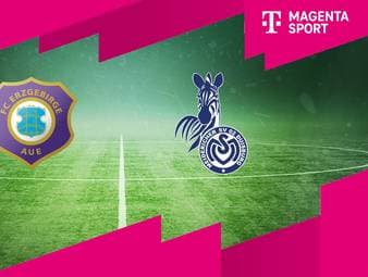 Erzgebirge Aue - MSV Duisburg: Tore und Highlights | 3. Liga