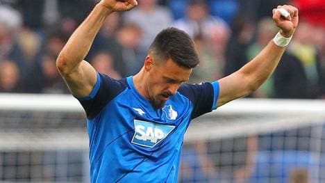 Sandro Wagner wechselte von Darmstadt nach Hoffenheim