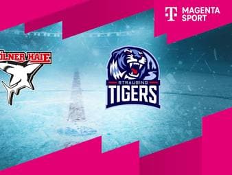 Kölner Haie - Straubing Tigers: Tore und Highlights | PENNY DEL