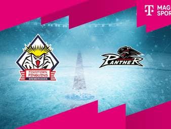 Pinguins Bremerhaven - Augsburger Panther: Tore und Highlights | PENNY DEL